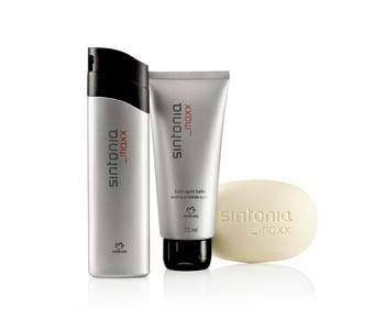 kit Sintonia Maxx